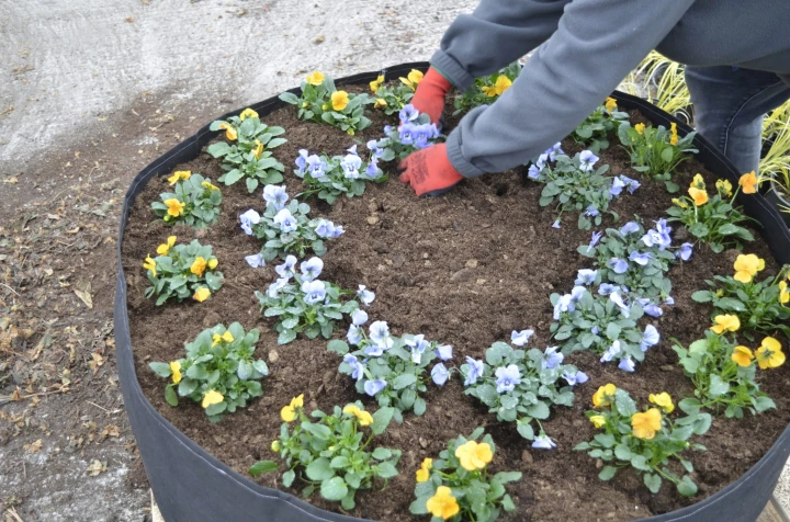 83f09fa8c75874dd5d724fff8d3c32a9