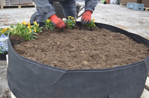 c06511d4c41a15034c30e94e5cbc904d