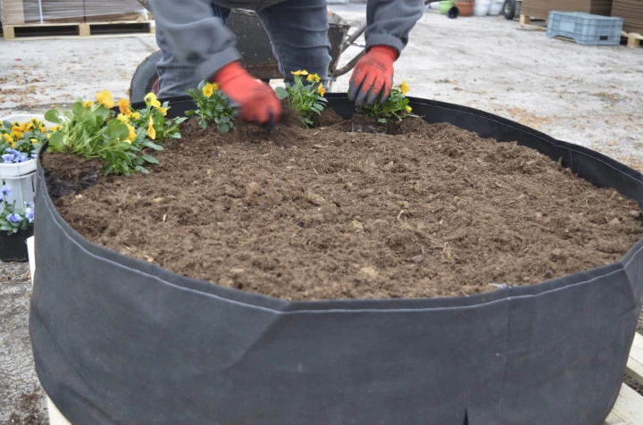 c06511d4c41a15034c30e94e5cbc904d