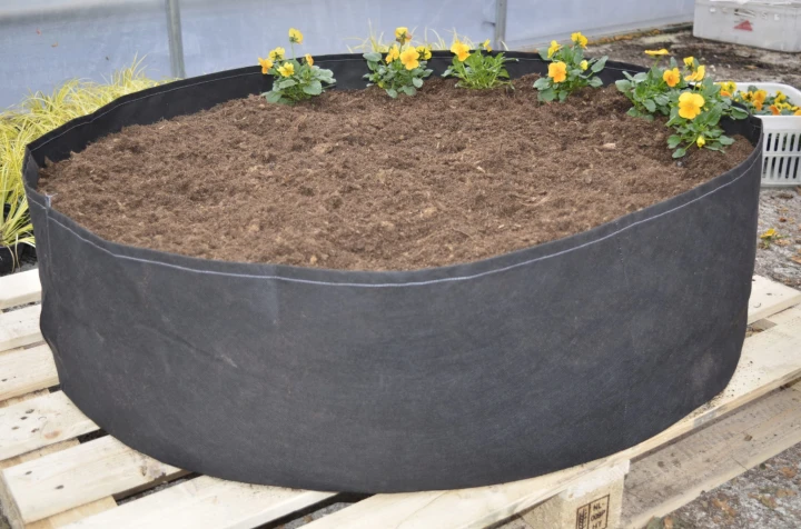 b0b627a0af8099e8be6c2ab0bcf49748