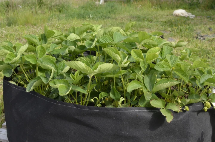 15cd21d8af0c2dbd404375108d7dd86f