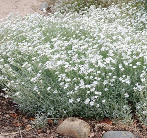 9895ef6ba496159fda127fbd36c6e9ba