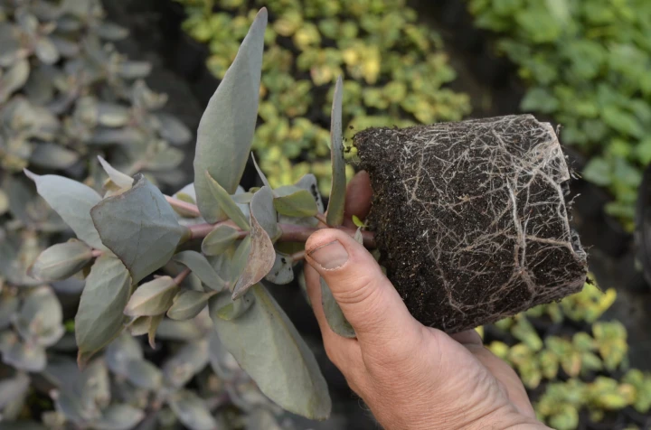 8f900f1b43882d9daaddd4c0e564150d