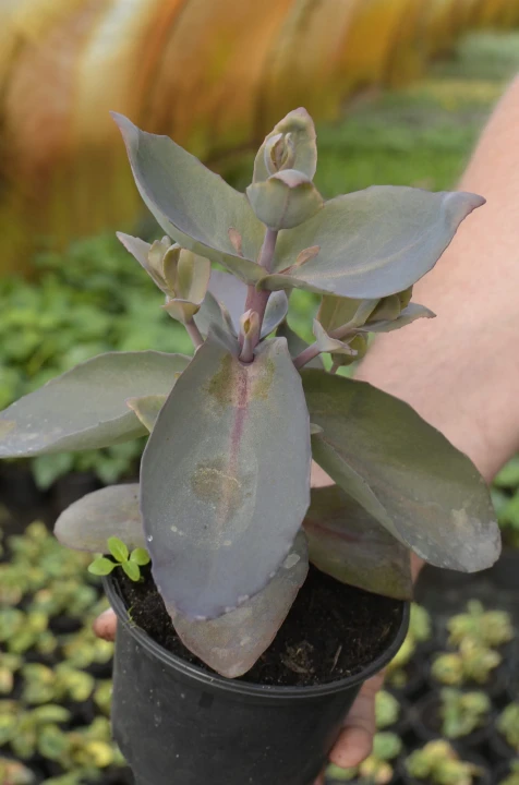 ace19cacfbc488d13c3bc7606339629d