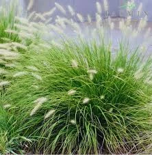 408c6608219a3490864e3d53c707cf37