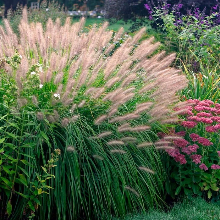 68baf0833e4b3c89100965b9f3a48a77