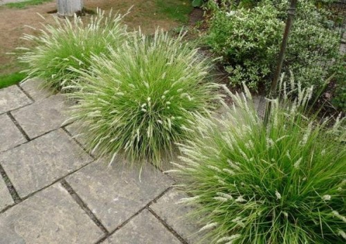 d71d587565b31c0654b70f4b3052dbb7