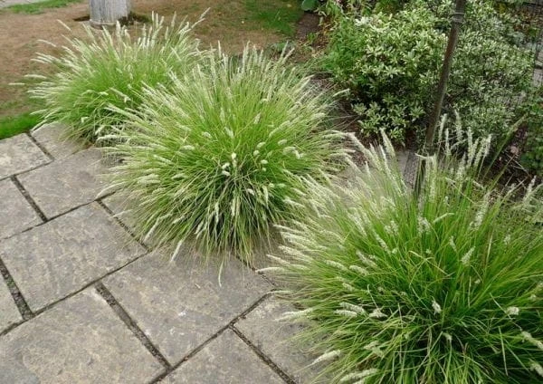 d71d587565b31c0654b70f4b3052dbb7