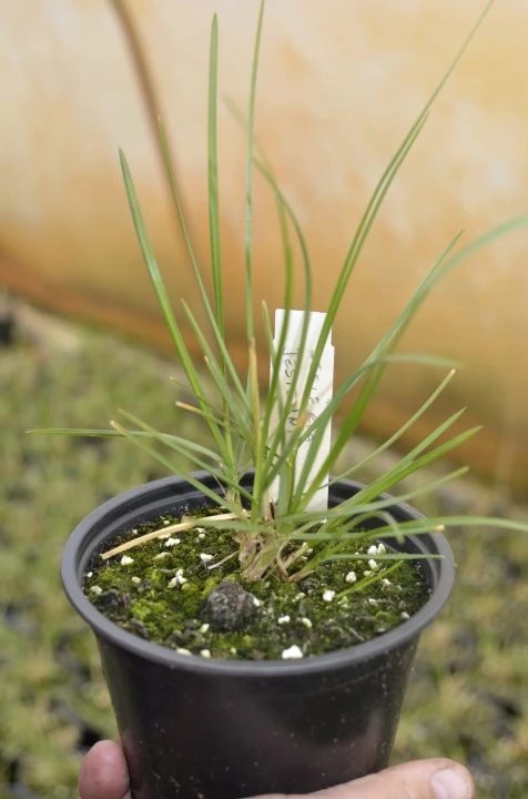 2e25441abeed7f6eb5d6291ba5101287