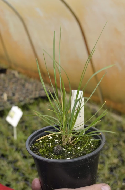 59b87df7ebfd876534d0ae0beaf49551