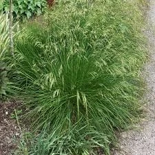 b325abeb49d464c238362941da8f05a1