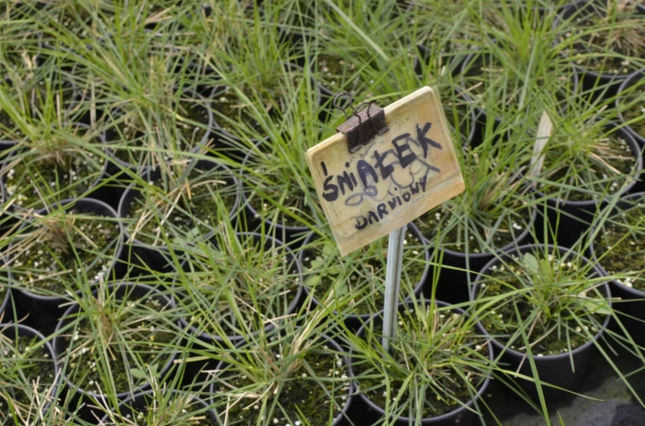 9b36e496208935c453f47237e8347a8a