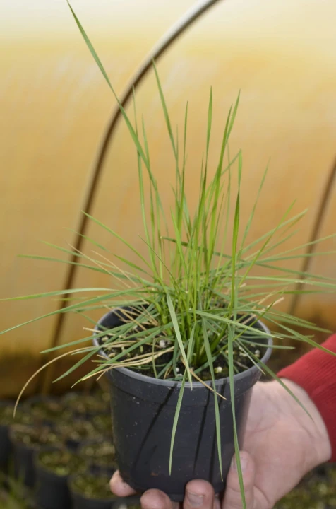 4dbaa3a70e3505e9a02930bedbbb68f3