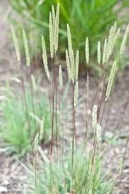 7daf4858698b7650fb11328e20c3796f