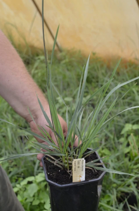 27bafb0cce3b327c2b32c62b18d00303