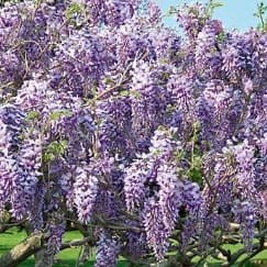 ee4cea084db42bc5b0528dc1f8127d90