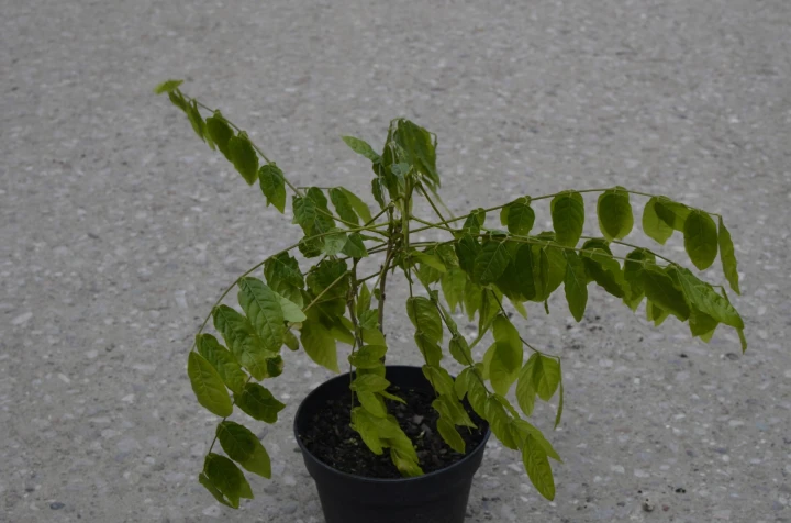 7ece406f5483ef2178d303aed9d18272