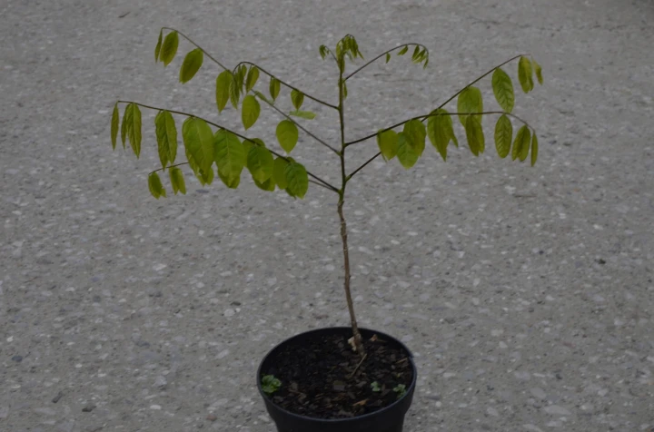 3c95e61e9f328432de2bf095924c3378