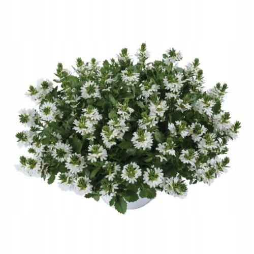 9c7856dc3d5cb17a293f36c976b19022