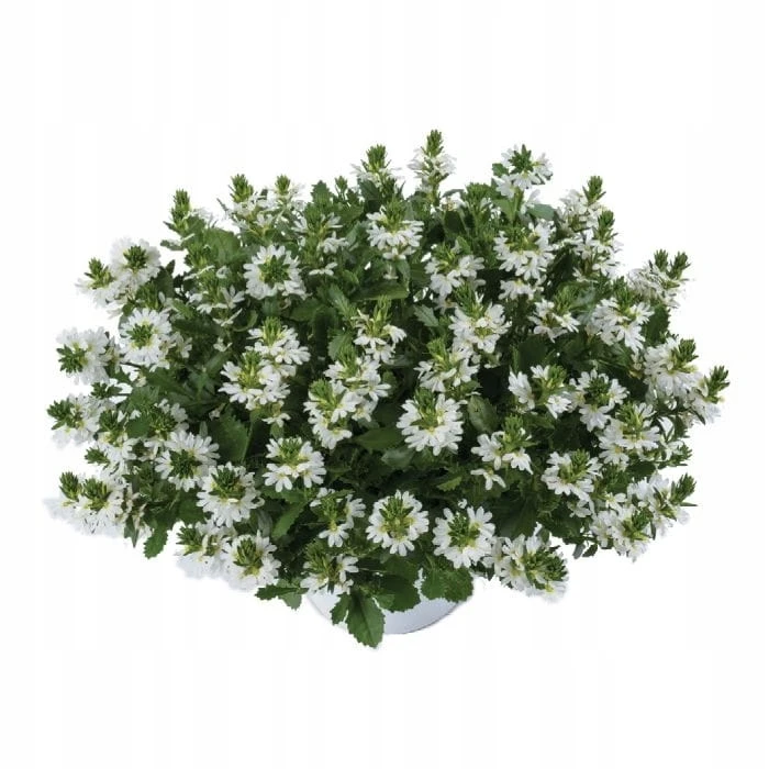 9c7856dc3d5cb17a293f36c976b19022