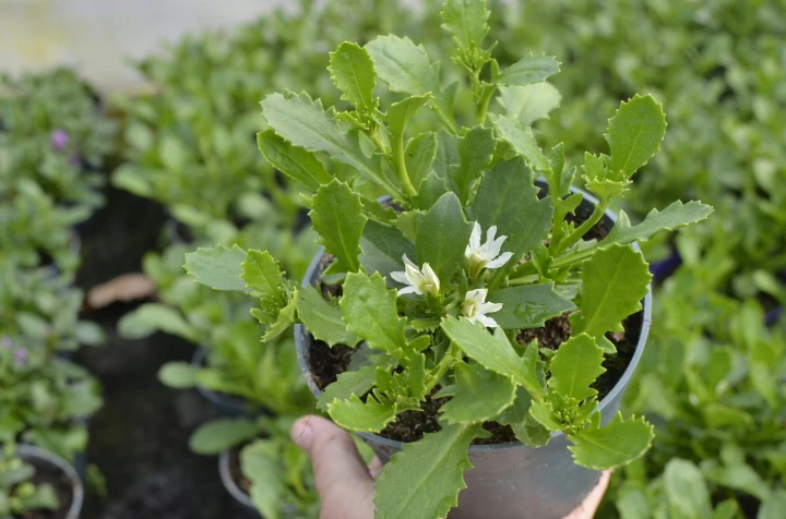 3949b3b5aa2b6d2b511b982e666a1a99