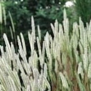 feb0cf03103835032e044ebaf27a4d21