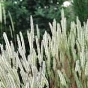 feb0cf03103835032e044ebaf27a4d21