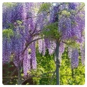 cf63c5f8e1ee77a4d8e7b832c9ebda23