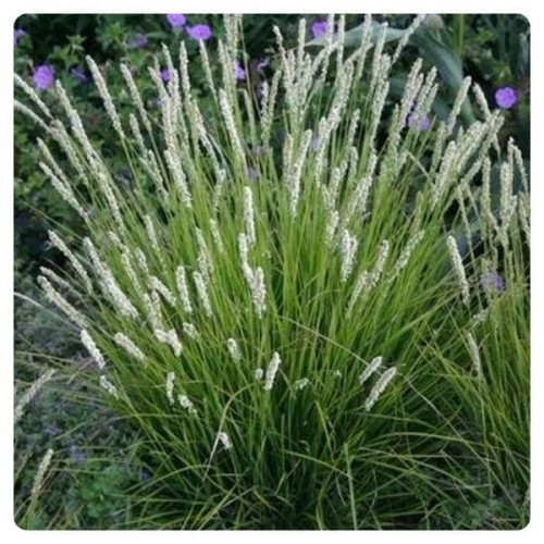 d9be1f2f953001a0db9e64c9a1dee51f