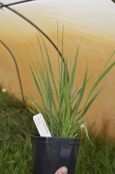 0eb317373d7e8d7f49b1c404a00c8896