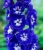 blue bird.jpg