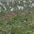 ab480f2f-39d3-49cd-aa9b-9540b08f8afd.jpg