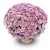 frejus pink.jpg
