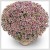 picto violet blanc22.jpg