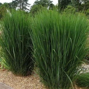 cccaf8e85a07a89e66fbbe9f8d26d83c