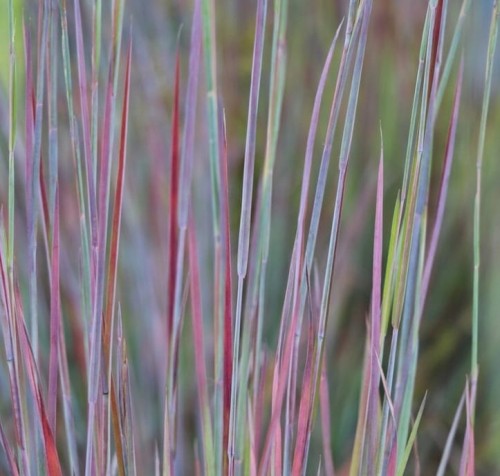 84f421c7cb51af9615d6ed7248e389d5