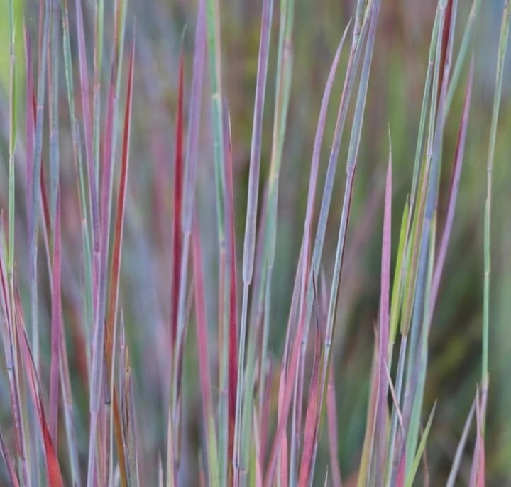 84f421c7cb51af9615d6ed7248e389d5