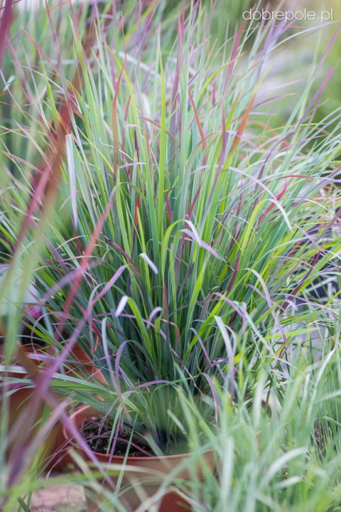 efa1daff6197bbf0e85e107758592b05