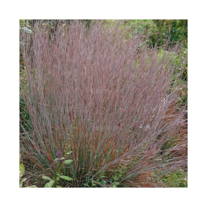 80c271ecc5c68fab6c3d9eaacf157dda