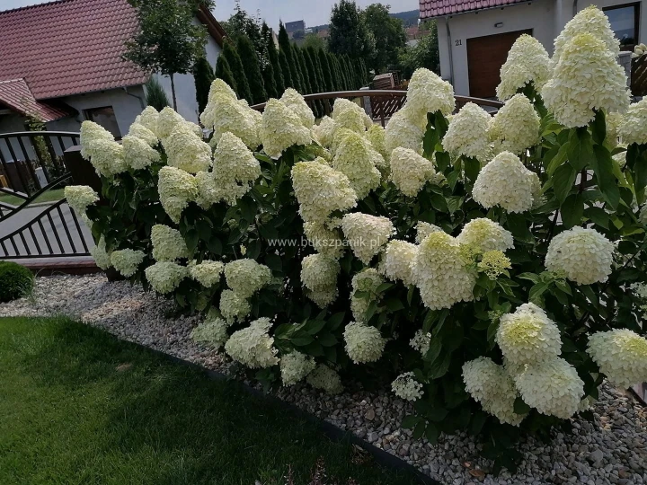 853063fb395c4ea445904e4ba034678e