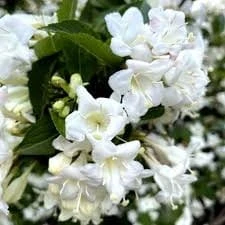 88045dc9424926d0b5cc69b5d7b83bf5