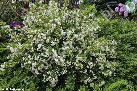 308038eecfda57af464833408481efce