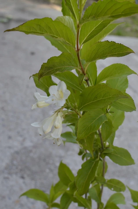 f85e509d09156c2a85075ea170585cad