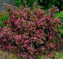 c8b96286fc71cc7951f614308e2cd6fa