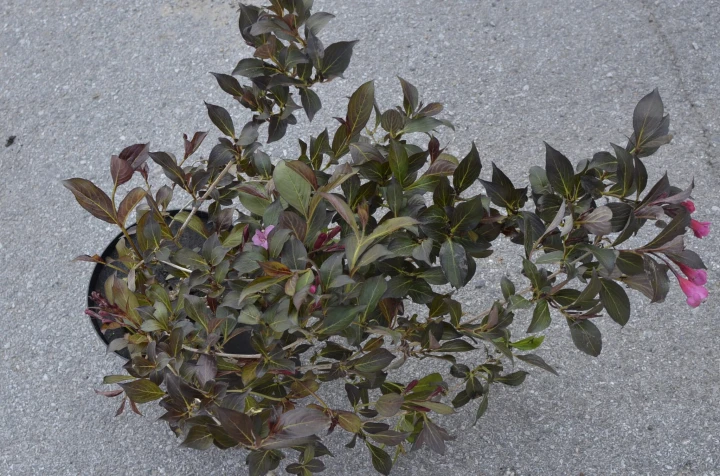 f315719be1c11655de93498d708cccf9