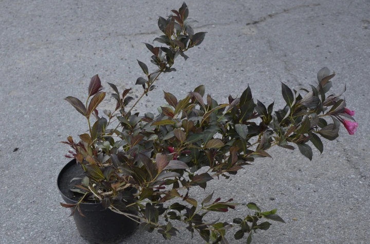 8bf13121cfd6351881e072e9f4ff3ba9