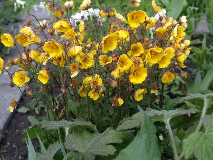 e8c35dfda5ba116a01fe5988d2e68ea8