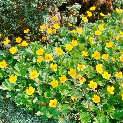 1b6d684b210a3c236a4a0049fbafbb05