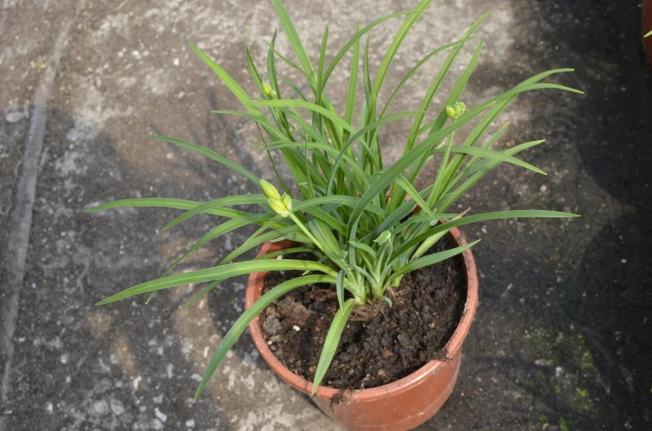 cb23bdd273b8a871a26a660bccdd1f1e