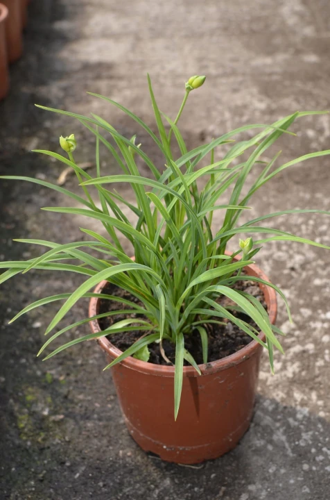 fc6db26c46ce8768c3efa1bd568663f0